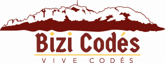 BiziCodés